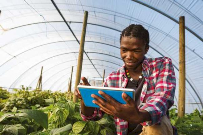 Generation Africa: Inspiring Young Africans To Become Agri-Food Entrepreneurs