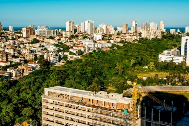 Competing Stories In Brooklyn And Mozambique