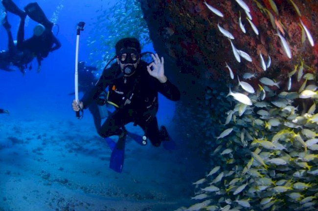 10 Most Beautiful Dive Sites In Mozambique