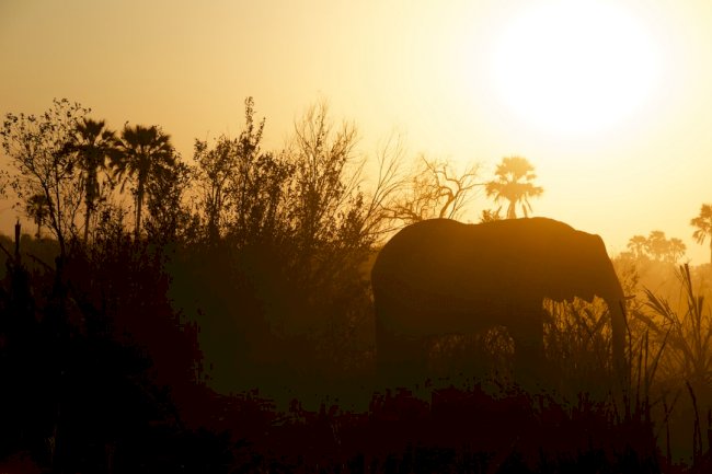 Another Side To Zanzibar – More Than Just White, Sandy Beaches