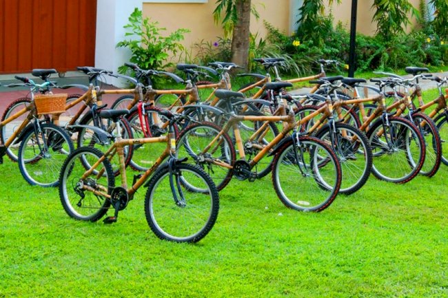 Young Africans create green businesses