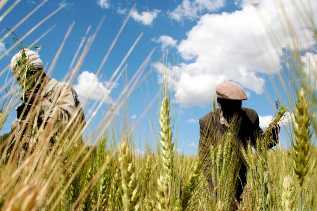Investment in irrigation is paying off for Ethiopia’s fast-growing economy