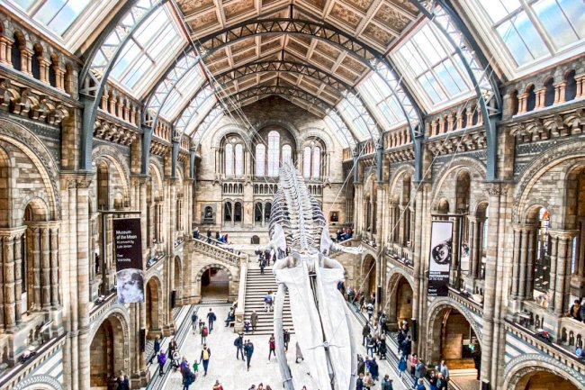 Why African Parents Should Take Their Kids to Museums More Often