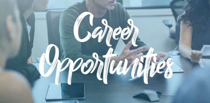 Career Opportunities In HR Evolving As Tech & AI Revolutionise Industry