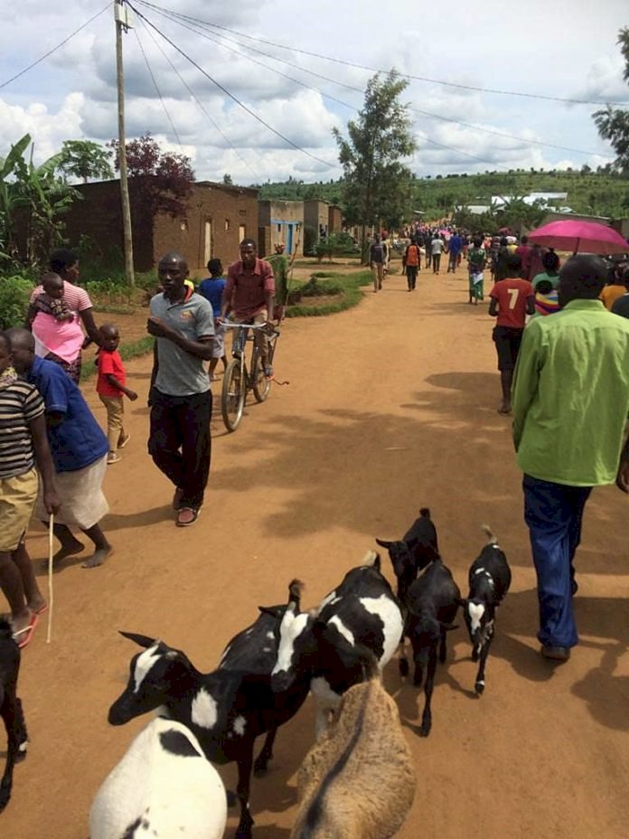 Big Returns For Businesses In Rutenderi Thanks To New Mini-Grid