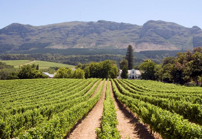 Why Cape Town in South Africa is a favorite destination for tourist