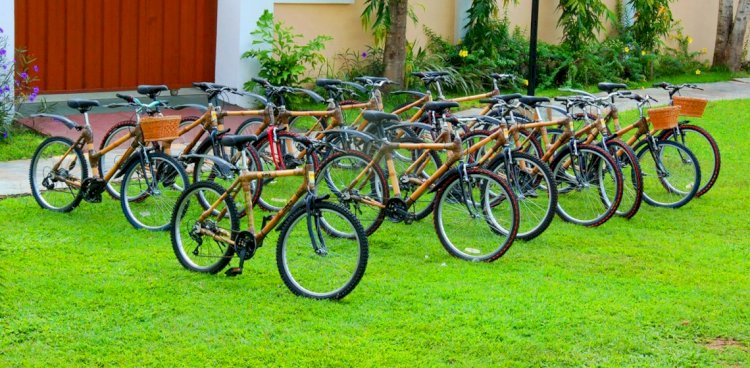 Young Africans create green businesses