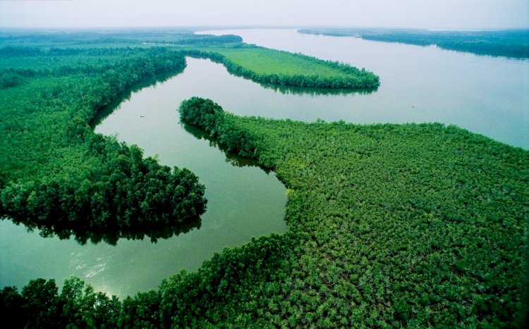 Economic value of the Niger River and its source