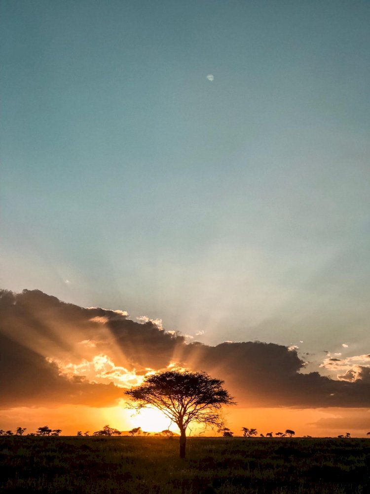 Tanzania Safari Cost