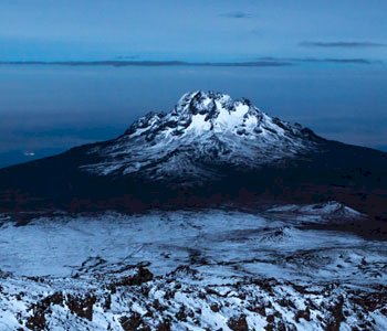 Tanzania Safari Cost