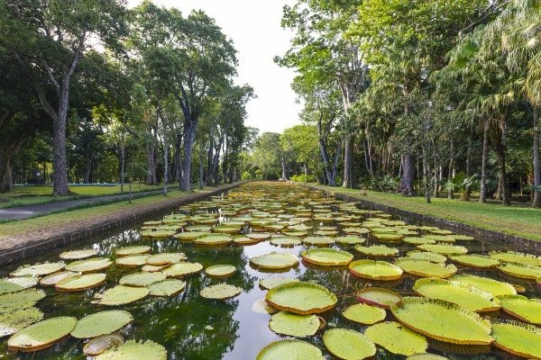 10 Most Beautiful Gardens in Africa