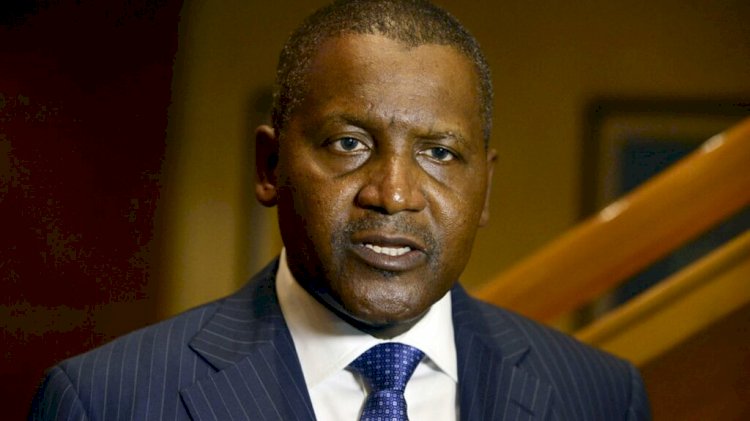 Most Affluent Families In Africa That You Probably Never Knew About