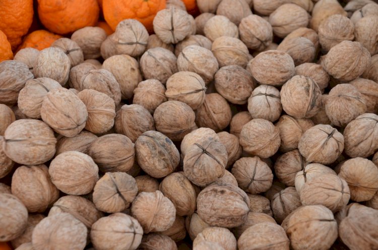 Health Benefits Of Eating Kola Nut