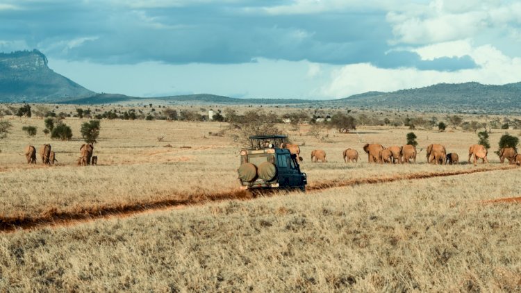 Best Tanzania Safari for Modern day's travelers!