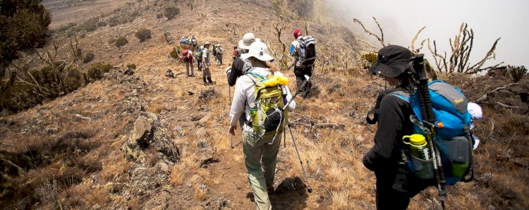 Mount Kilimanjaro Climbing Packages