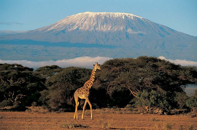 Mount Kilimanjaro Climbing Packages