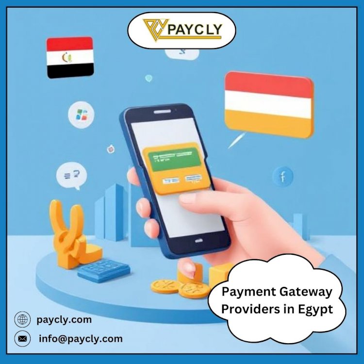 Payment Gateway Egypt: A Complete Overview of Local Providers